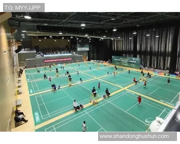 上海羽毛球队逆袭之旅揭秘从低谷到巅峰的奋斗历程与荣耀时刻