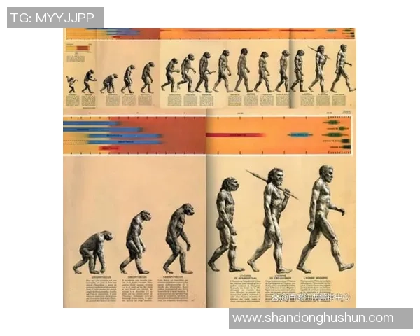 广州网球队灵活性对比分析及其对比赛策略的影响探讨