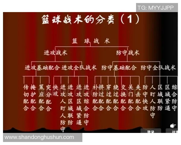 成都篮球队的速度对比深度解析与战术影响探讨