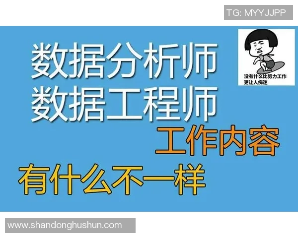 广州排球队的耐力训练与比赛表现的深度探讨与分析