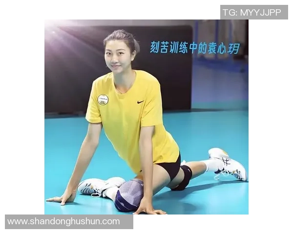 杭州排球队荣膺排球比赛经验排行榜第一名引发热议