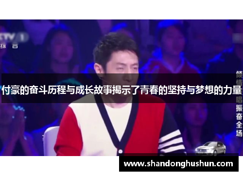 付豪的奋斗历程与成长故事揭示了青春的坚持与梦想的力量