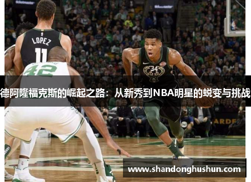 德阿隆福克斯的崛起之路：从新秀到NBA明星的蜕变与挑战